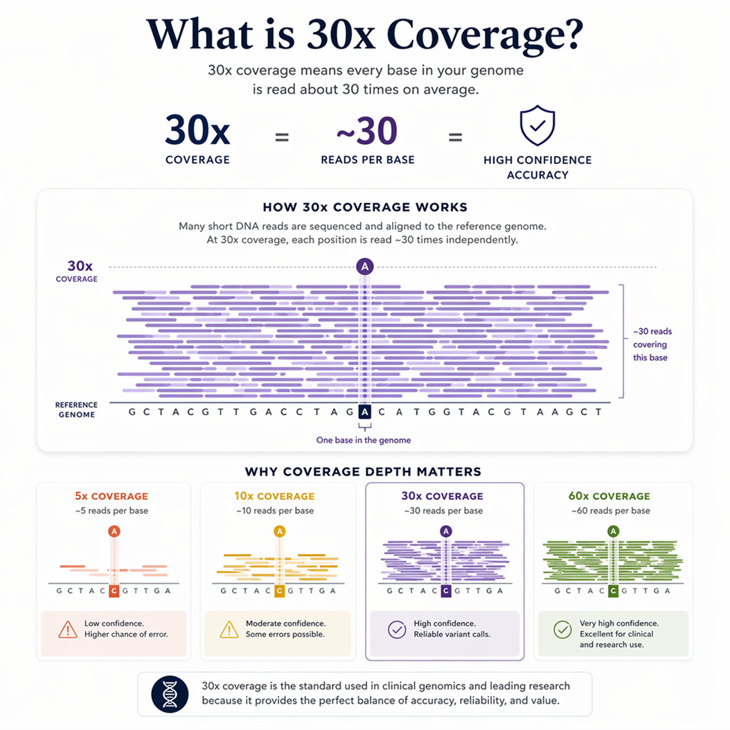 Whole Genome Sequencing (30x) - Human & Any Organism