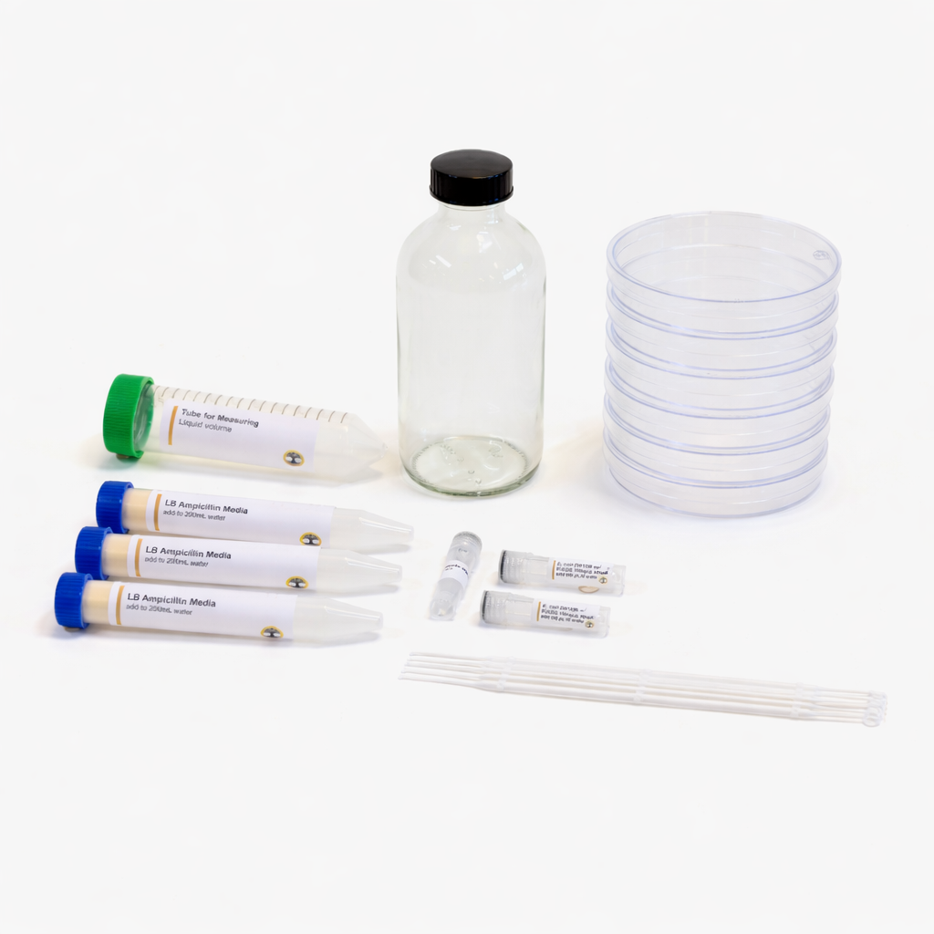 Bioluminescent Bacteria Culturing Kit
