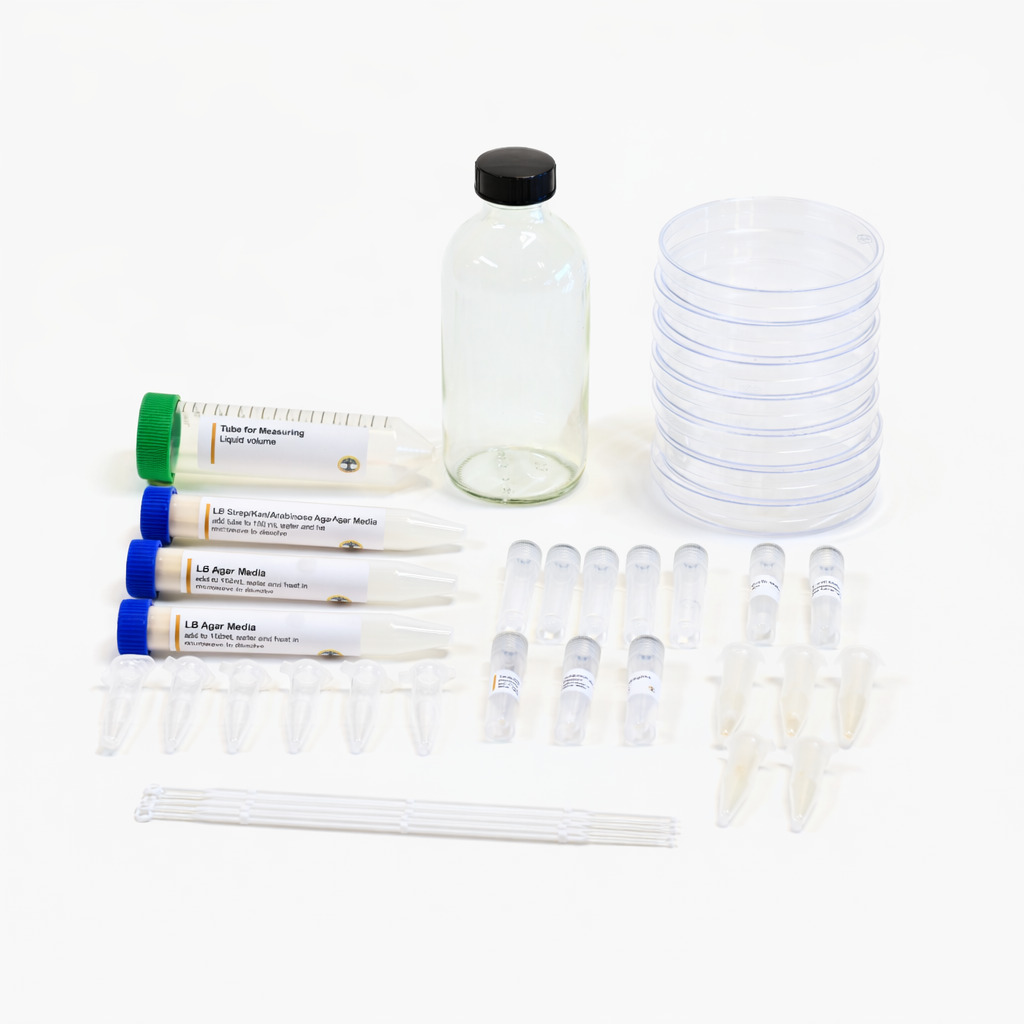 CRISPR Bacteria Gene Editing Kit