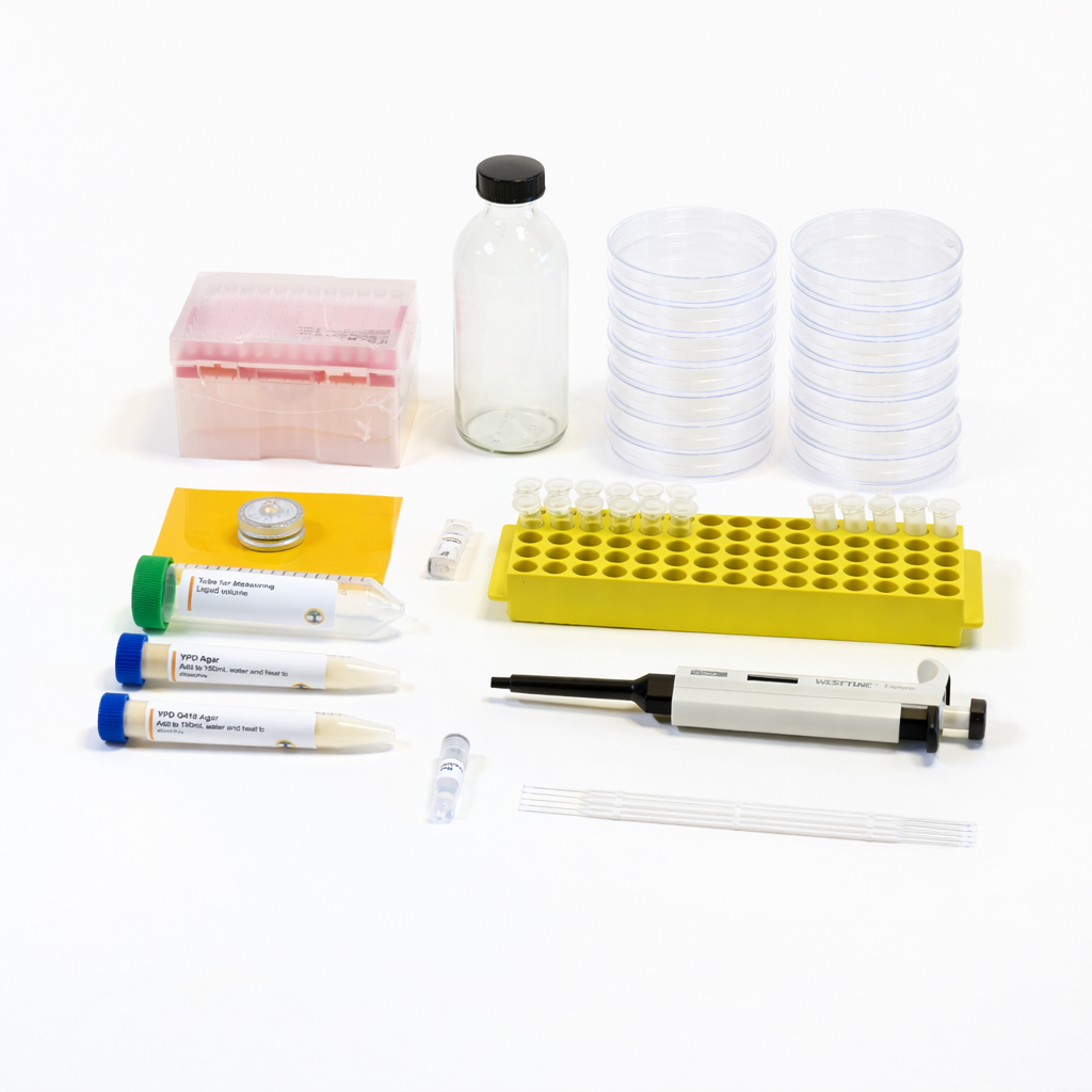 Fluorescent Yeast Genetic Engineering Kit