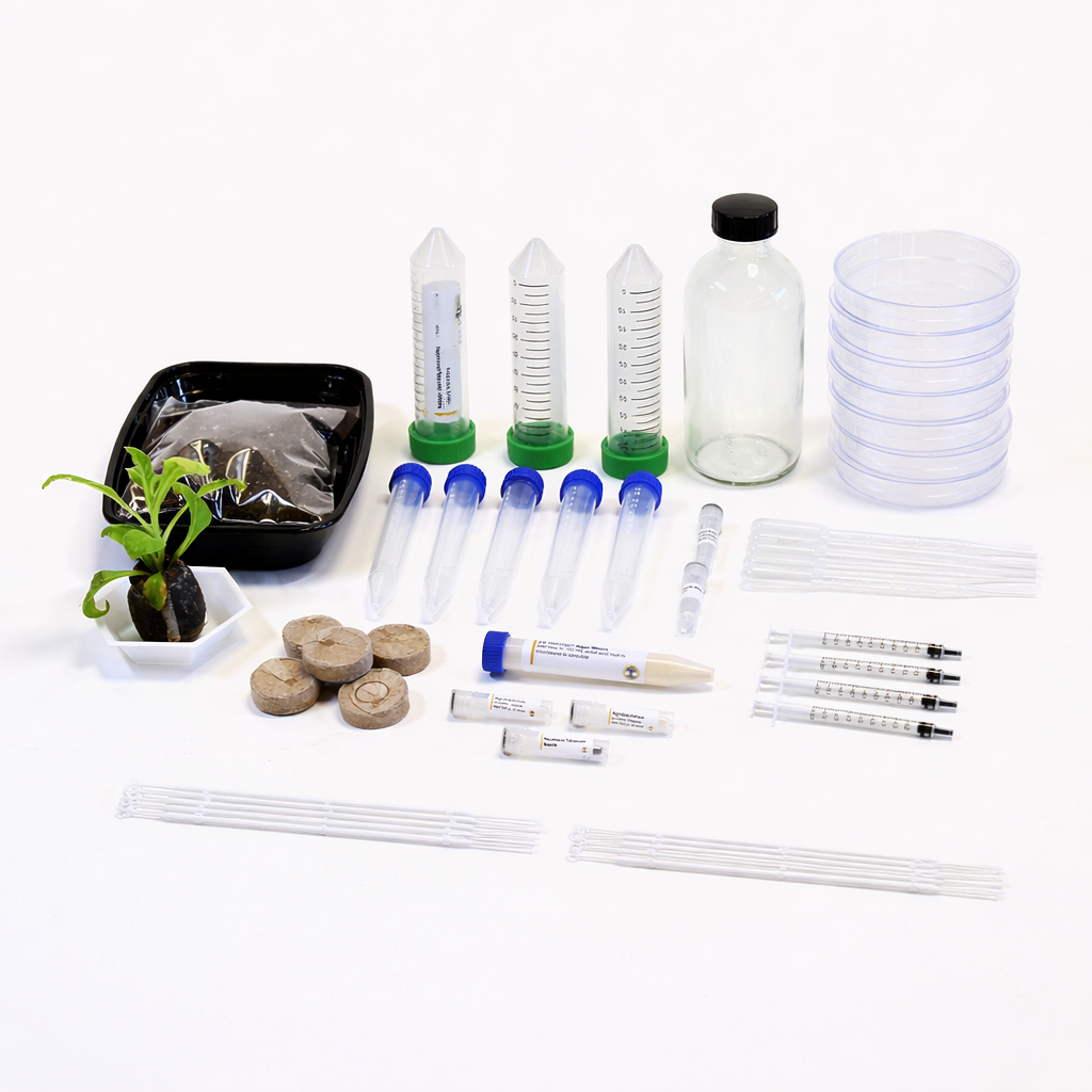 Plant Pigment Genetic Engineering Kit