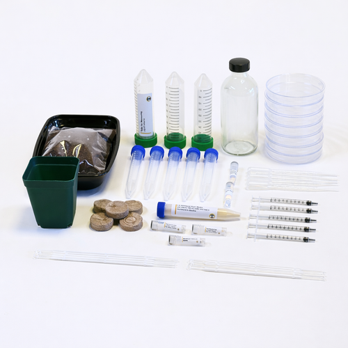 Plant Pigment Genetic Engineering Kit