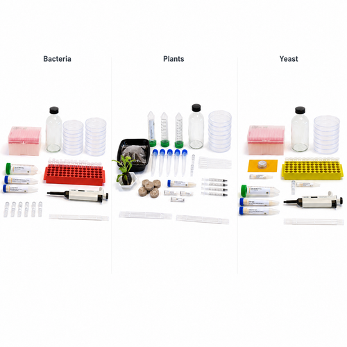 Engineer Across Life: Bacteria, Yeast & Plants Bundle