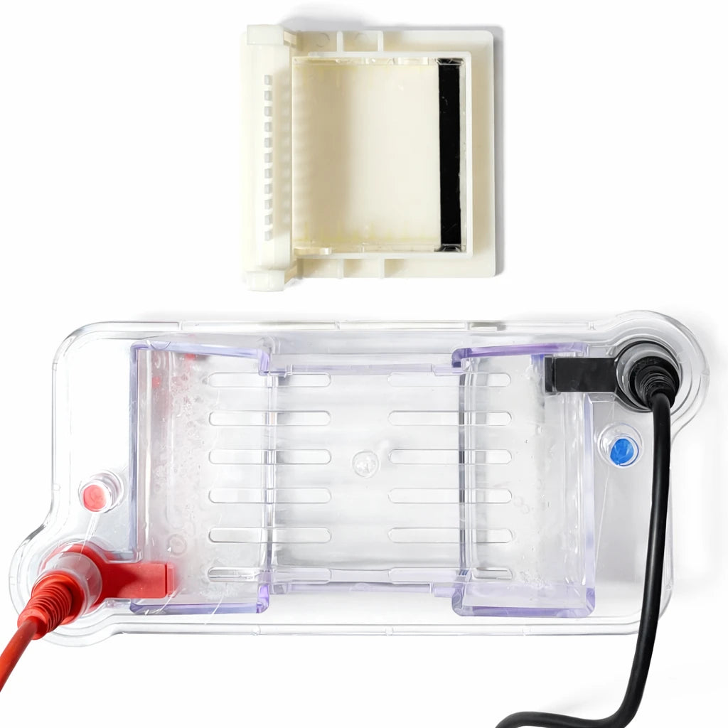 Complete Genetic Engineering Lab Kit