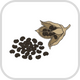 Nicotiana tabacum seeds
