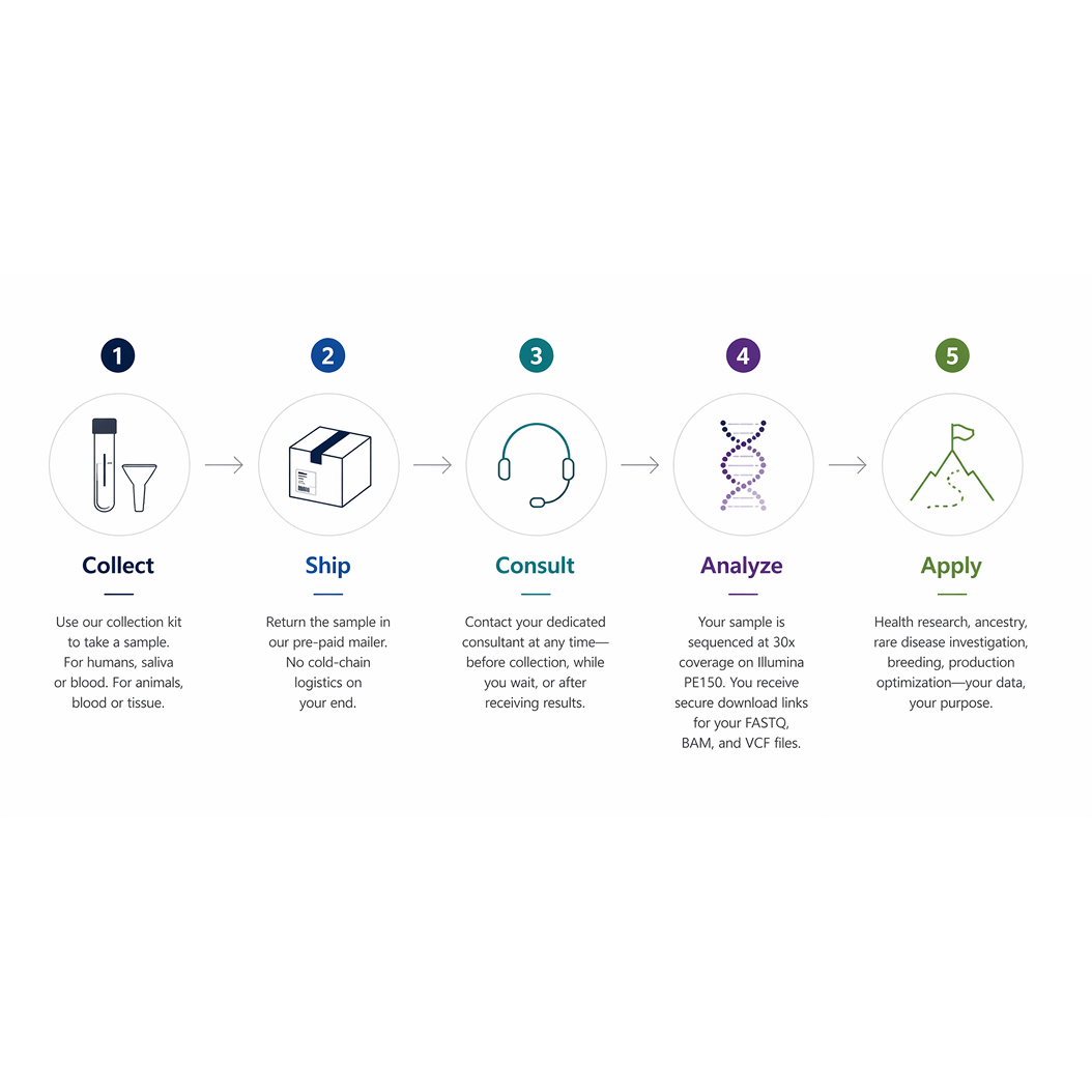 Whole Genome Sequencing (30x) - Human & Any Organism